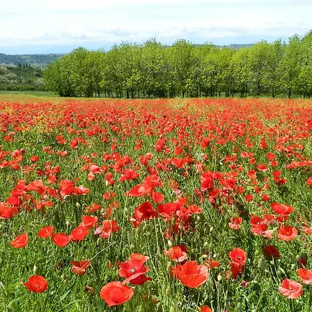 Cascina Beatrice * Rodello